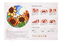 Guía y Videos Visual Paso a Paso